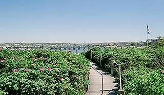 Harborview