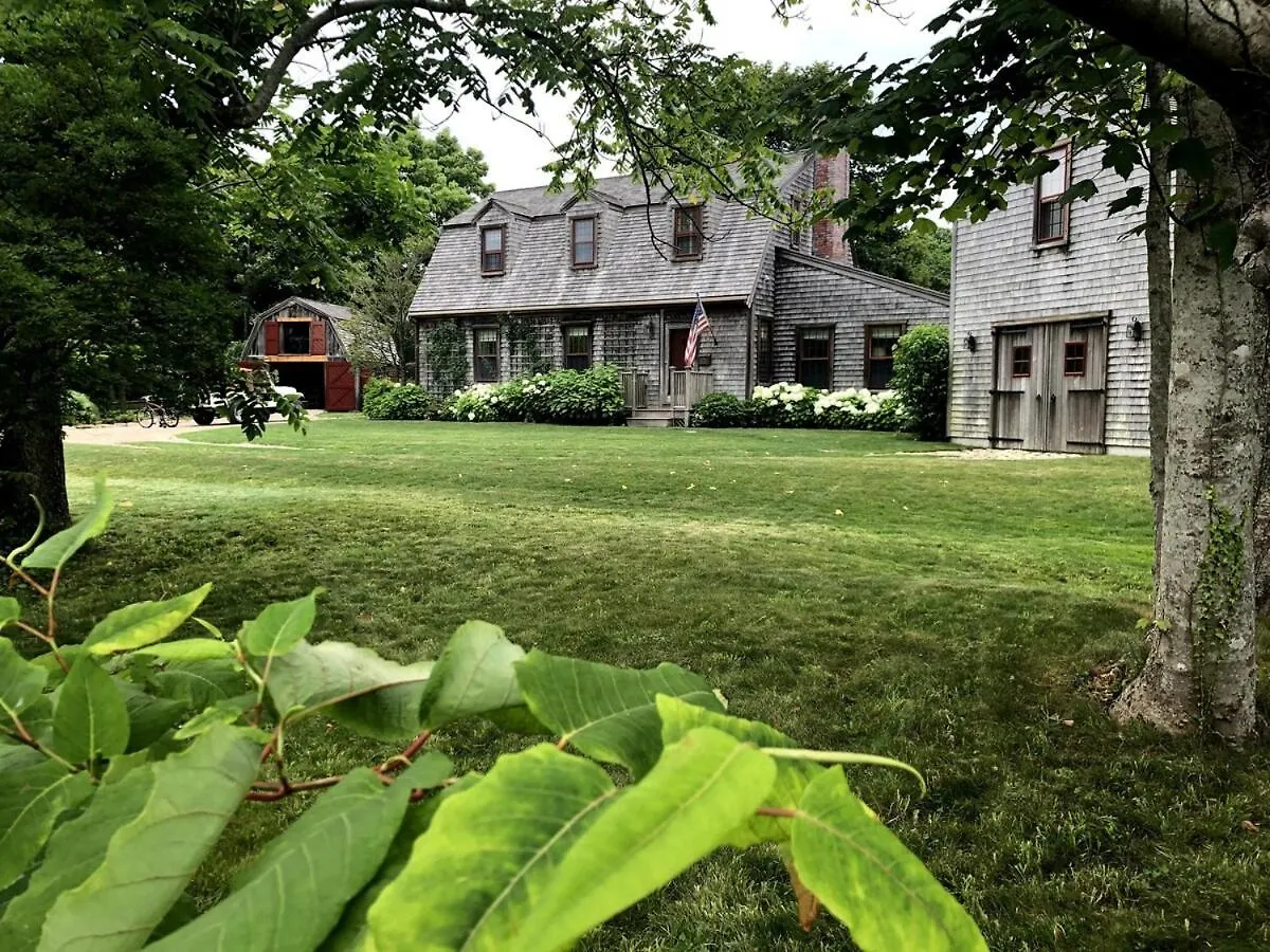 In Town Lily Pond Mini Compound, House And